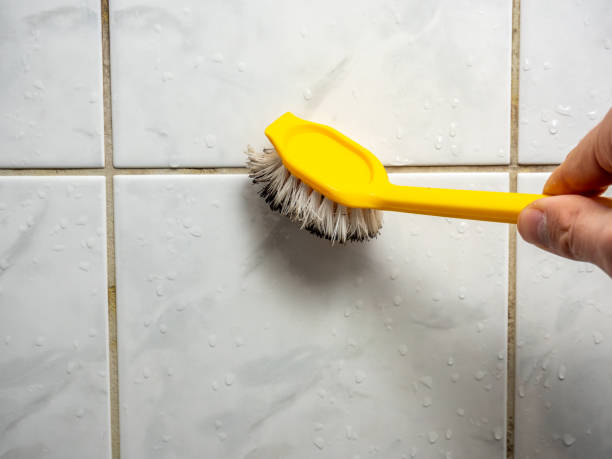 Best Mold Removal Company Near Me  in Bassett, VA