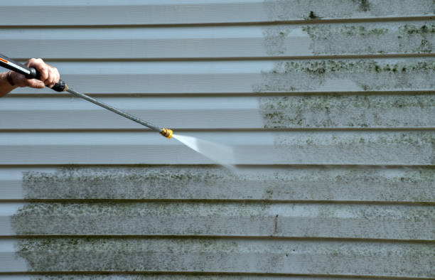 Best Mold Cleaning Services  in Bassett, VA