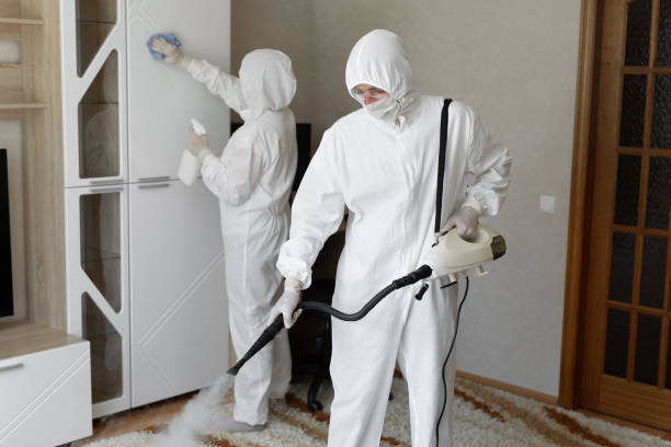 Best Mold Removal Near Me  in Bassett, VA