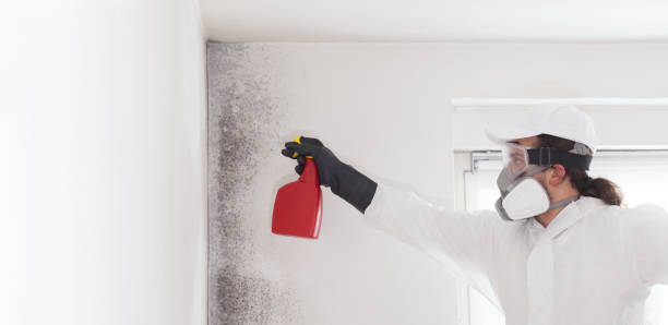 Best Emergency Mold Removal  in Bassett, VA